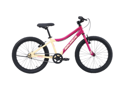 20" AVALANCHE ANTIX